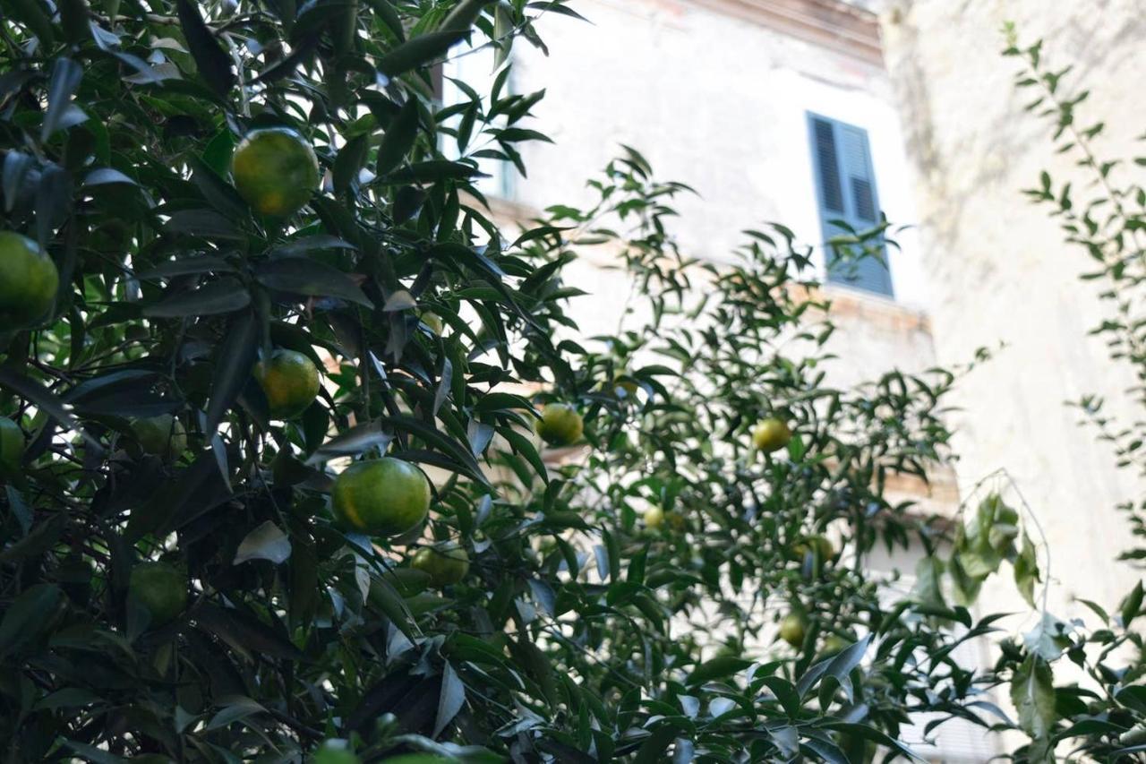 Giardino D'Atri Apartment เนเปิลส์ ภายนอก รูปภาพ